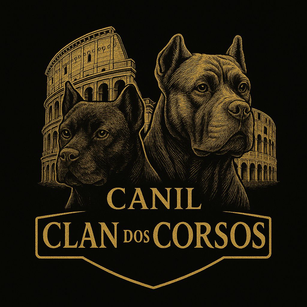 Canil Coração de Quatro Patas - Ambiente familiar