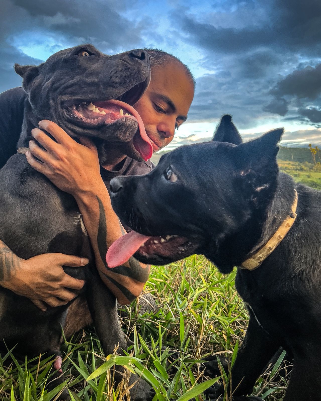 Canil Coração de Quatro Patas - Ambiente familiar